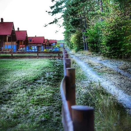 Lesna Ostoja Villa Borowy Mlyn Luaran gambar