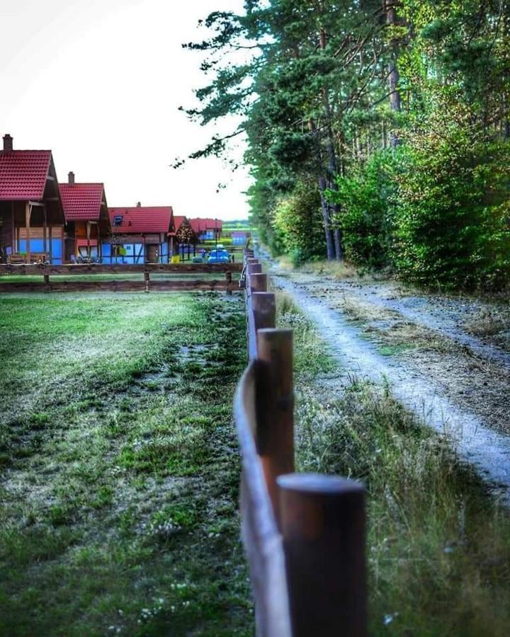 Lesna Ostoja Villa Borowy Mlyn Luaran gambar