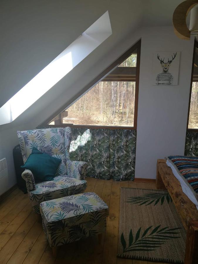 Lesna Ostoja Villa Borowy Mlyn Luaran gambar