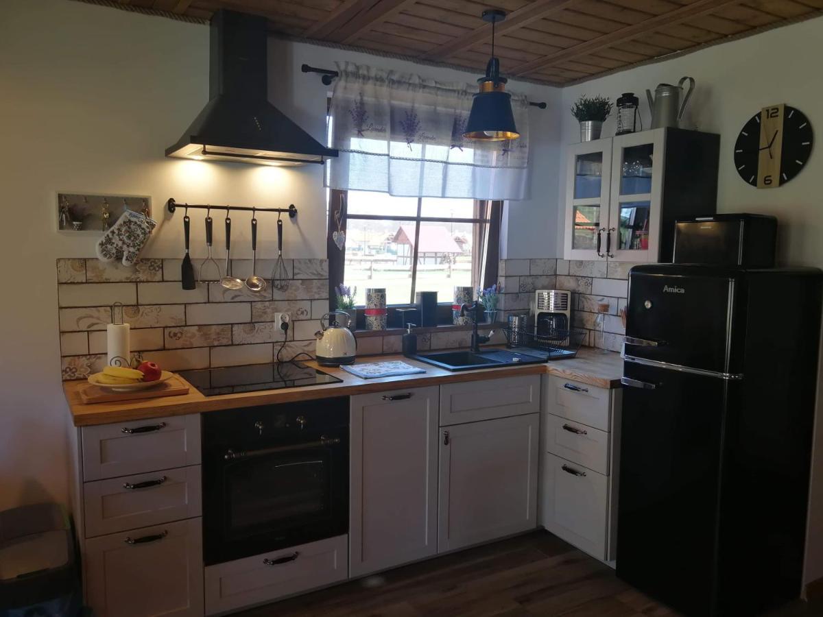 Lesna Ostoja Villa Borowy Mlyn Luaran gambar