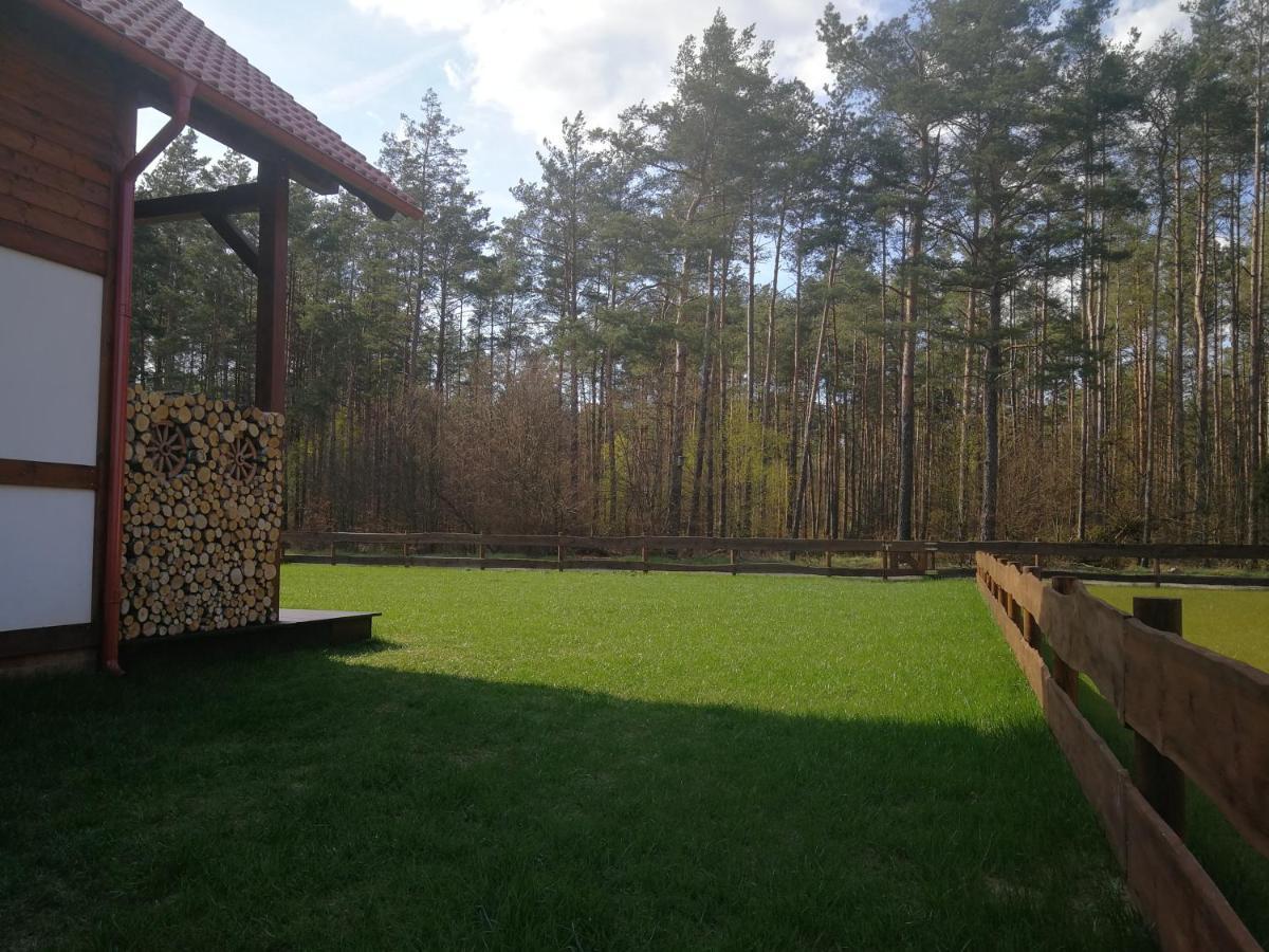 Lesna Ostoja Villa Borowy Mlyn Luaran gambar