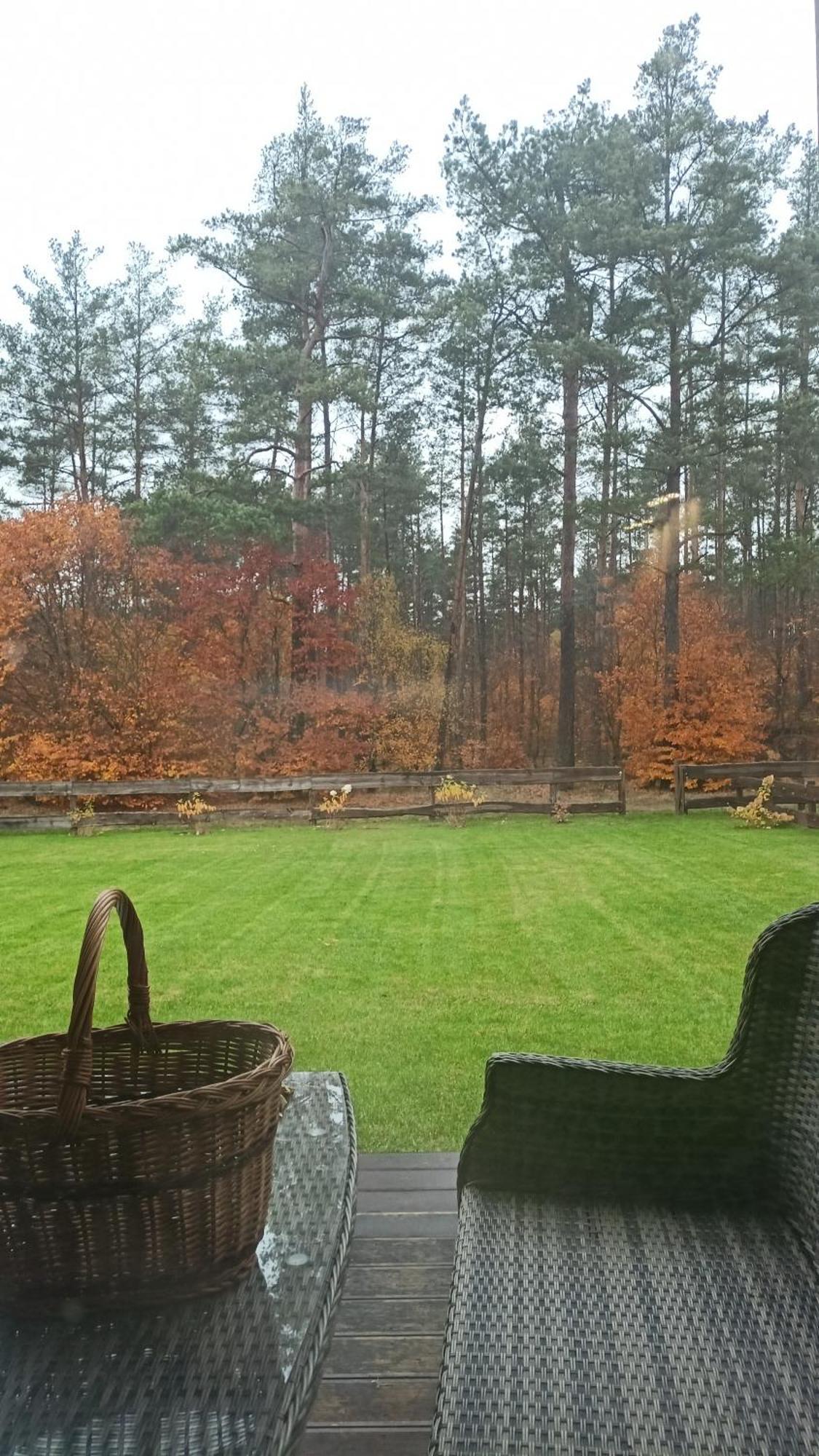 Lesna Ostoja Villa Borowy Mlyn Luaran gambar