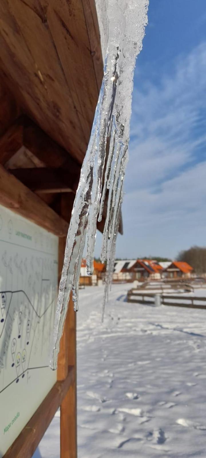 Lesna Ostoja Villa Borowy Mlyn Luaran gambar